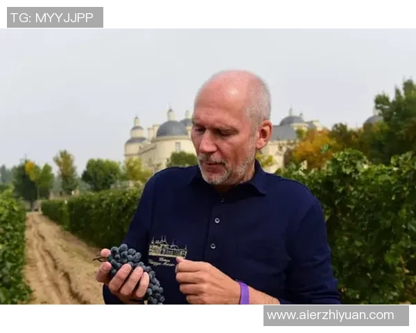 伦敦之王易主？3350万镑豪赌，布伦南·约翰逊能否在塞尔赫斯特公园破茧成蝶？